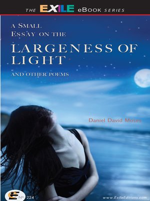 cover image of A Small Essay on the Largeness of Light and Other Poems